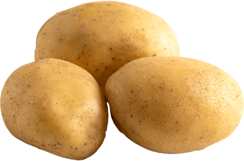 Fresh New Potato